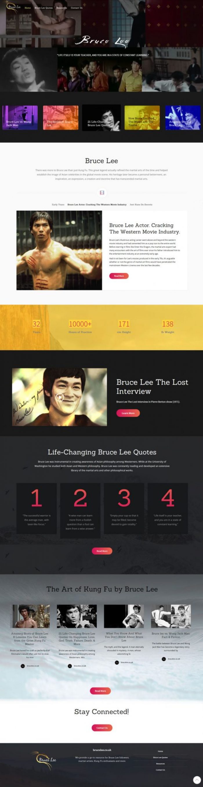 Bruce Lee website design